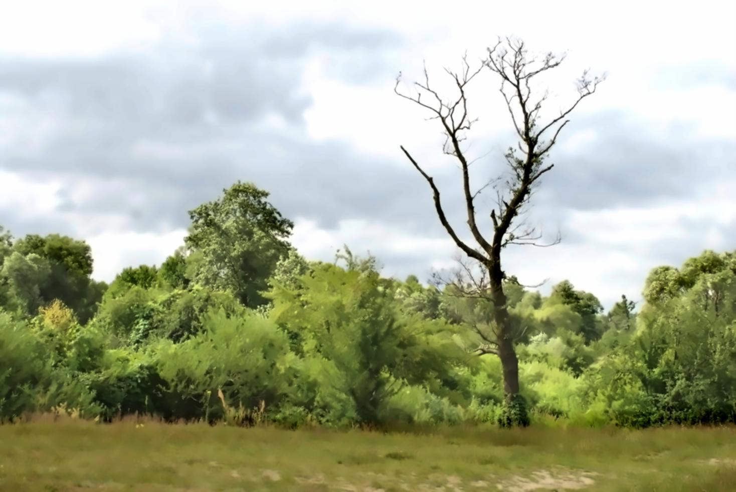 How Atlanta Connected 40 Miles of Abandoned Railroad